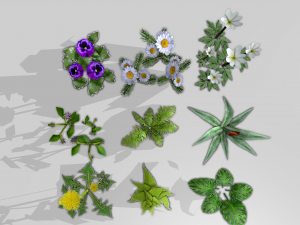 plants set 3D Model