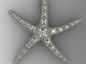 pendant star Modelo 3D