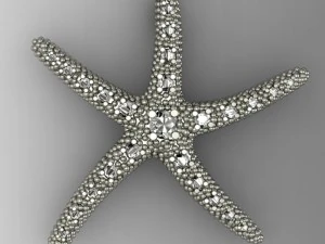 pendant star 3D Model