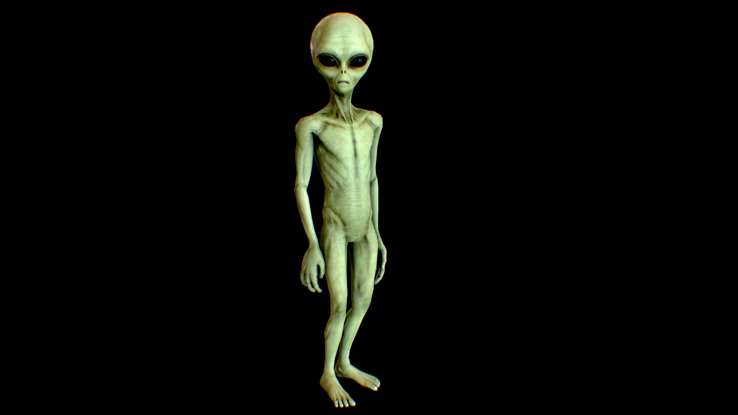 Realistic Aliens Full Pack 3d Model In Alien 3dexport 