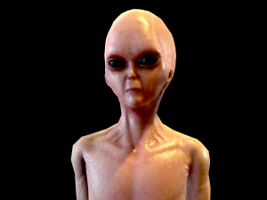 realistic alien 1 3D Model