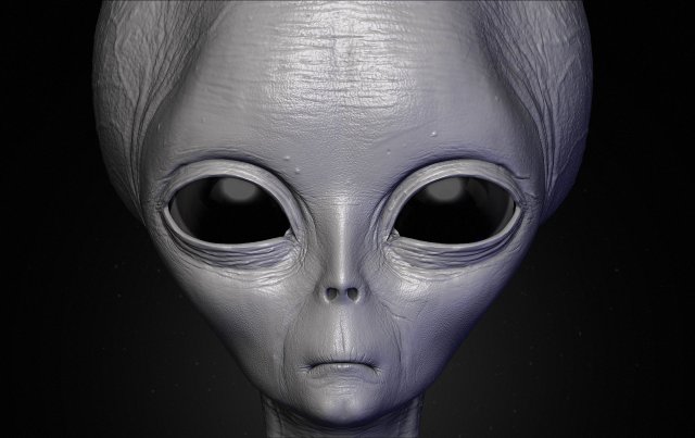 realistic alien 2 sculpt 3D Model in Alien 3DExport