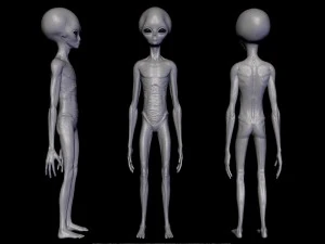 realistische Alien 2-Skulptur 3D Modell