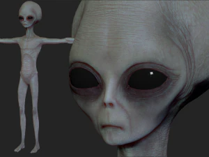 realistische Alien 2-Skulptur 3D Modell