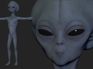 escultura realista de alien&iacute;gena 3 Modelo 3D