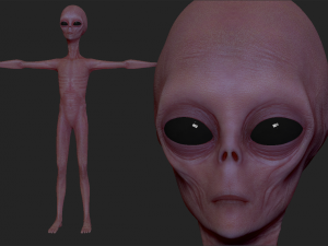 realistic alien 4 sculpt 3D Model