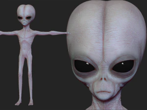 escultura realista de alien&iacute;gena 5 Modelo 3D
