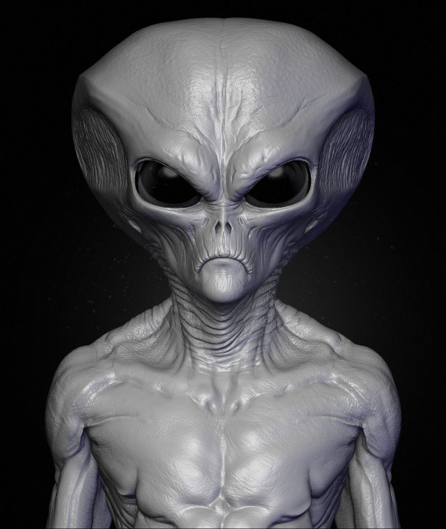 realistic alien 7 sculpt Model 3D .c4d .max .obj .3ds .fbx .stl .blend 