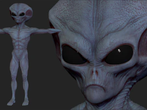 escultura realista de alien&iacute;gena 7 Modelo 3D
