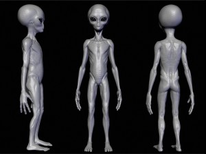 realistic alien 8 sculpt 3D Model