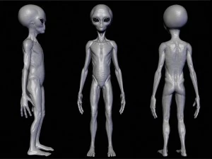 escultura alien&iacute;gena 8 realista Modelo 3D