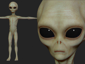realistic alien 8 sculpt 3D Model