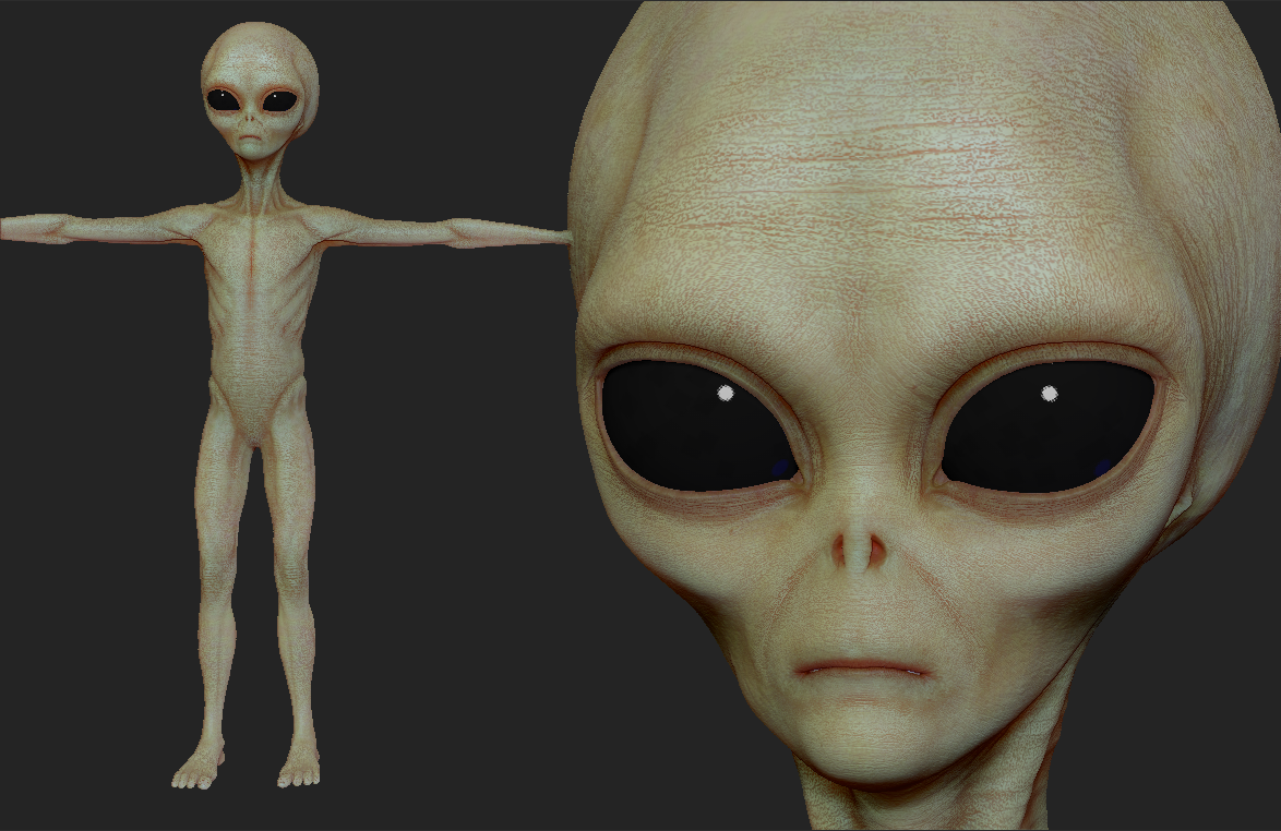 Realistic Alien 8 Sculpt 3d Model In Alien 3dexport