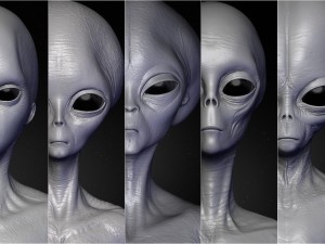 realistic aliens sculpts bundle 1 3D Model