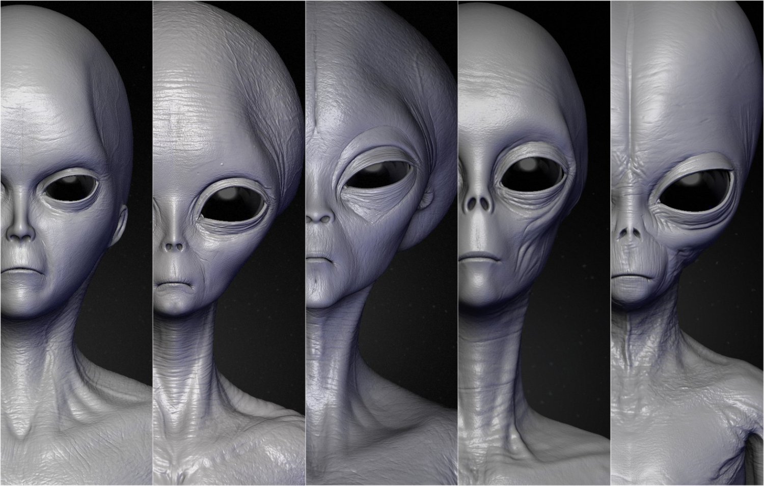 Realistic Aliens Sculpts Bundle 1 3d Model In Alien 3dexport