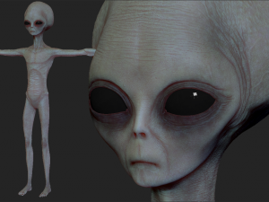 realistic aliens sculpts bundle 1 Modèle 3D