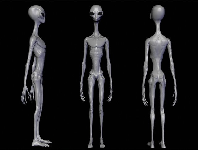 Realistic Aliens Sculpts Full Pack 3d Model In Alien 3dexport 