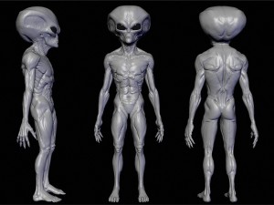 realistic aliens sculpts full pack 3D 模型