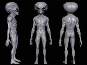 Alien&iacute;genas realistas esculpem pacote completo Modelo 3D