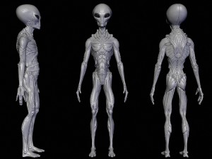 realistic aliens sculpts full pack 3D 模型