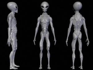 Alien&iacute;genas realistas esculpem pacote completo Modelo 3D