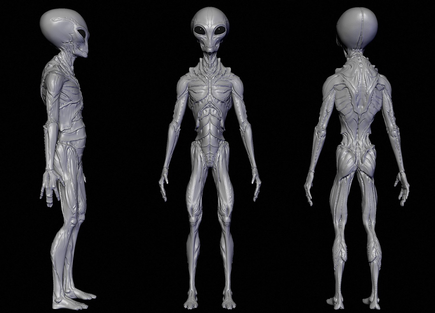 Realistic Aliens Sculpts Full Pack 3d Model In Uzaylı 3dexport 