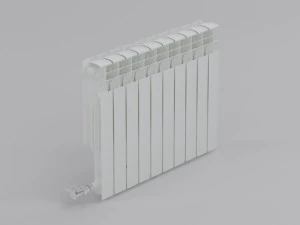 radiator apriori speciale 3D Model