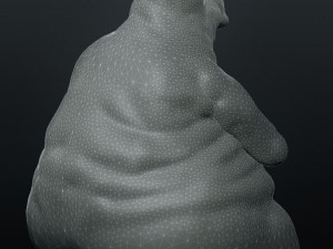 homunculus loxodontus 3D Model