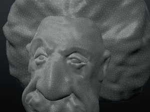 albert einsteins head 3D 打印模型