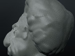 albert einsteins head 3D 打印模型