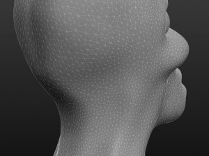 african head 3D Принт Модель