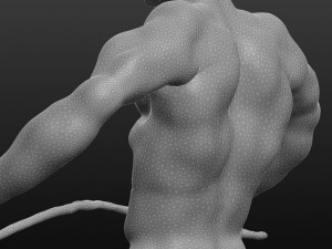 athlete Modello di stampa 3D