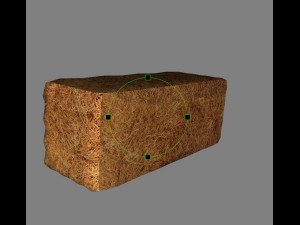 hay bale 3Dモデル