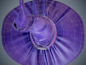 purple witch hat 3D Model