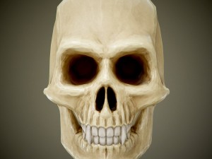 skull with fangs 3D Model
