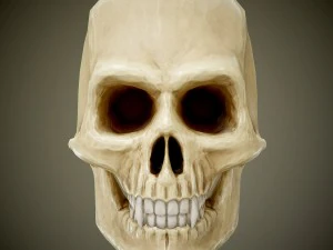 Totenkopf mit Rei&szlig;z&auml;hnen 3D Modell