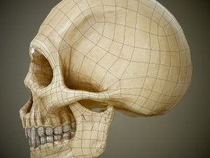 skull with fangs Modelo 3D