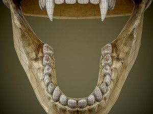 skull with fangs Modelo 3D