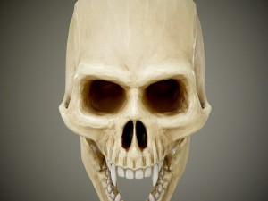 skull with fangs Modelo 3D