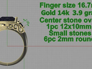 ring 3D Print Model