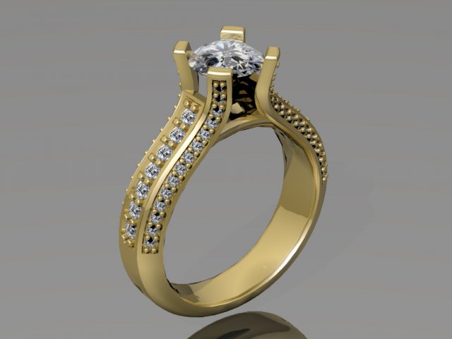 ring Modello di stampa 3D .c4d .max .obj .3ds .fbx .stl .blend