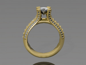 ring Modello di stampa 3D