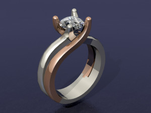 2 tone ring Modèles 3D en vedette