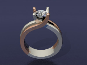 2 tone ring Modello di stampa 3D