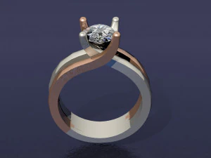 2 tone ring 3D Print Model