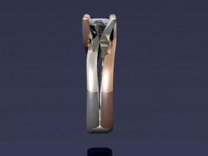 2 tone ring Modello di stampa 3D