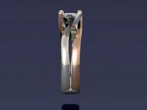 2 tone ring 3D Print Model