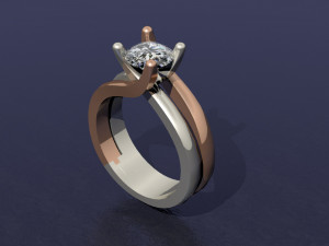 2 tone ring Modello di stampa 3D