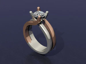 2 tone ring 3D Print Model