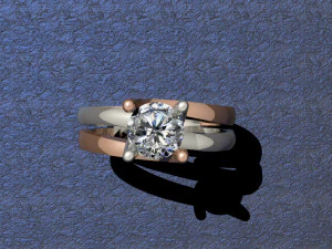 2 tone ring 3D Print Model